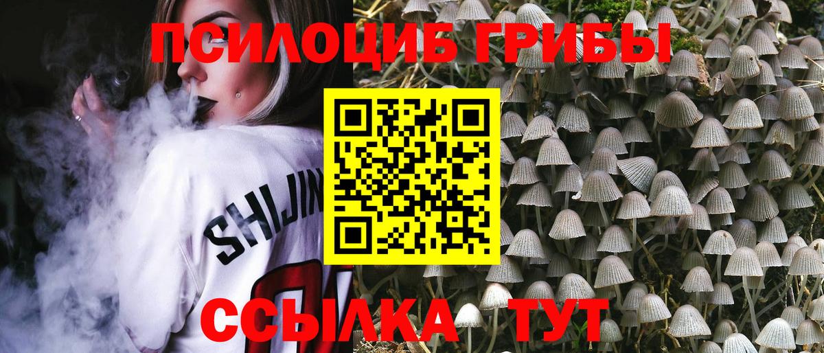 Псилоцибиновые грибы Magic Shrooms Реутов