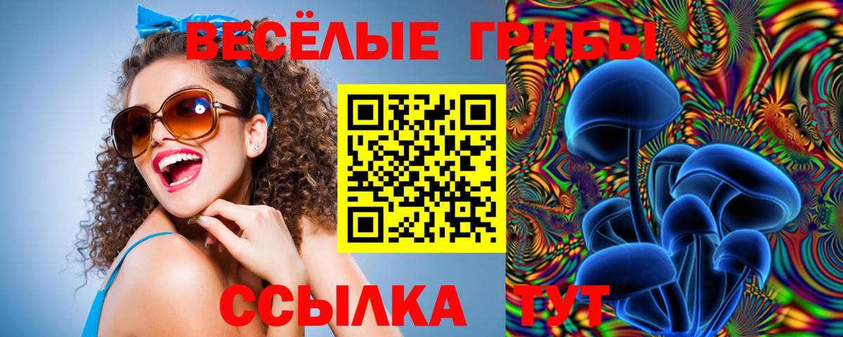 Реутов  Галлюциногенные грибы MAGIC MUSHROOMS  Вход с VPN 